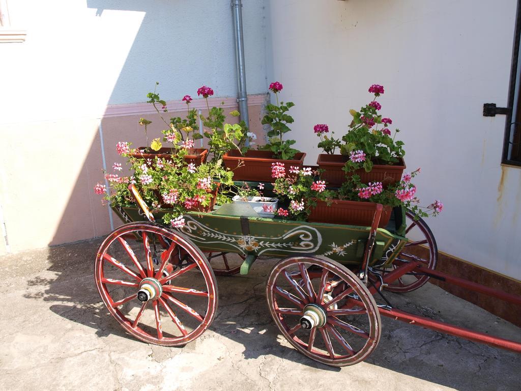 Guest House Borisov Shabla Exterior photo